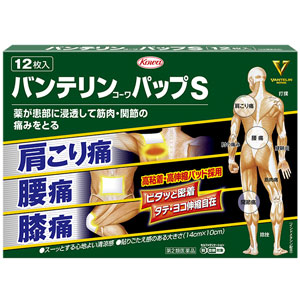 バンテリンコーワパップS 12枚入 1個