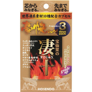 宝仙堂の凄十 豪快パック 3DAYパック 4粒×3 1個
