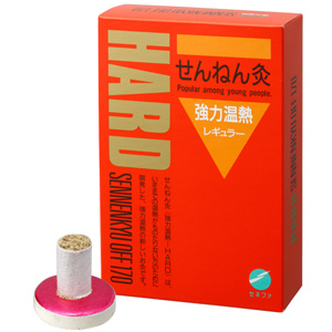 せんねん灸 強力温熱 レギュラー 170点入 1個
