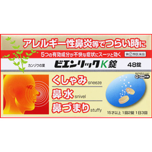 ビエンリックK錠 48錠 1個