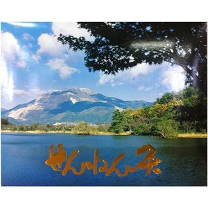 せんねん灸オフしょうがきゅう八景 1800点入 同梱不可 1個