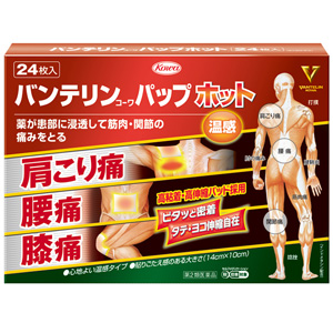 バンテリンコーワパップホット 24枚入 1個