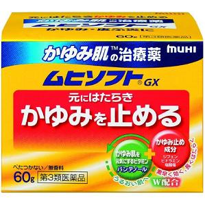 かゆみ肌の治療薬  ムヒソフトGX