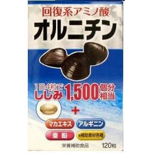 伸和製薬 オルニチン 120粒 1個