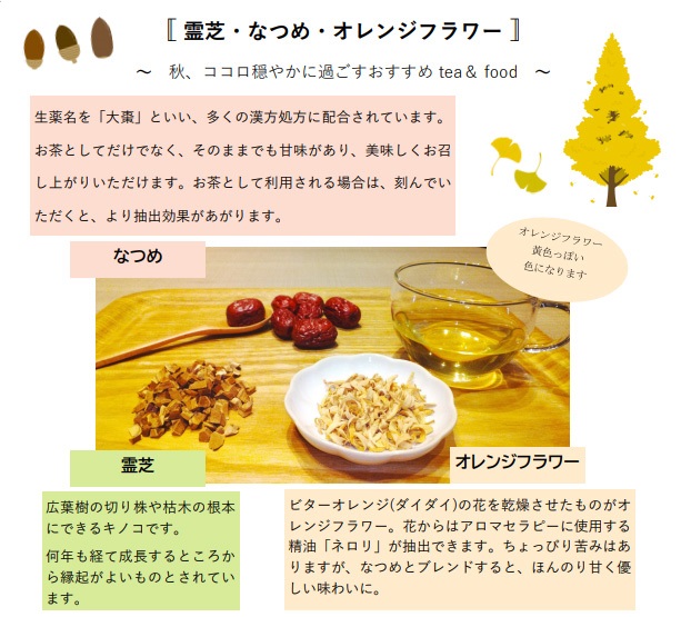 栃本天海堂 霊芝・なつめ・オレンジフラワー 霊芝 〇切〔小袋〕100g 1個