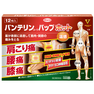 バンテリンコーワパップホット 12枚入 1個