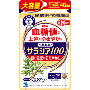 小林製薬 サラシア100　120粒 40日分【特定保健用食品】 1個