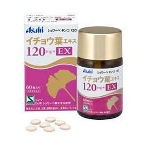 シュワーベギンコ120 イチョウ葉エキスEX (1個・2個）