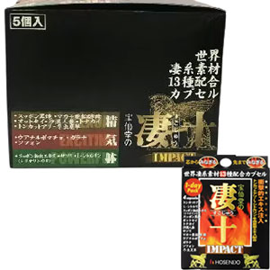 宝仙堂の凄十 IMPACT 1DAYパック 4粒×5 1個