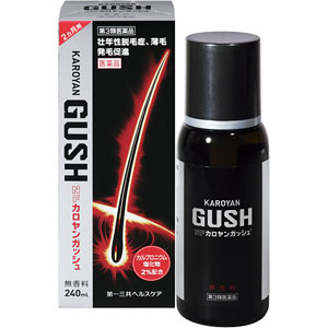 NFカロヤンガッシュ 240ml 1個